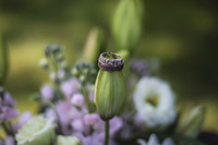 A Backyard Garden Wedding